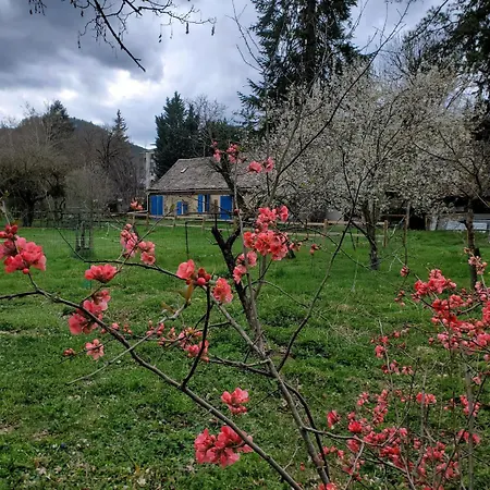 La Bergerie De Louisa 4/5 Personnes * Marvejols